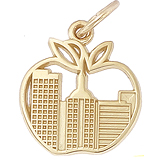 Big Apple New York Charm
