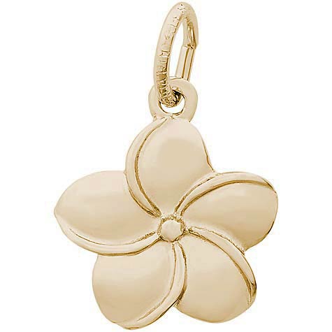 14K Gold Plumeria Flower Charm by Rembrandt Charms 14K Gold Plumeria Flower Charm by Rembrandt Charms