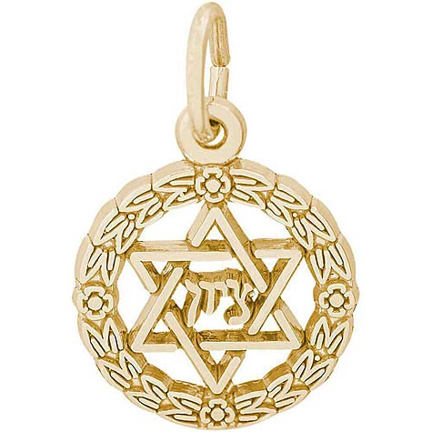 10K Gold Star of David Wreath Charm by Rembrandt Charms 10K Gold Star of David Wreath Charm by Rembrandt Charms