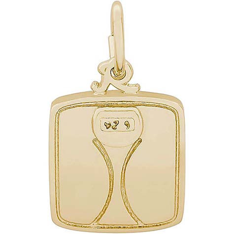 14K Gold Scale Charm by Rembrandt Charms 14K Gold Scale Charm by Rembrandt Charms