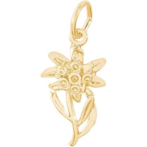 14K Gold Edelweiss Flower Charm by Rembrandt Charms 14K Gold Edelweiss Flower Charm by Rembrandt Charms