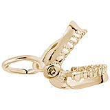 False Teeth Charm