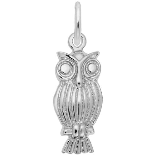14K White Gold Screech Owl Charm by Rembrandt Charms 14K White Gold Screech Owl Charm by Rembrandt Charms