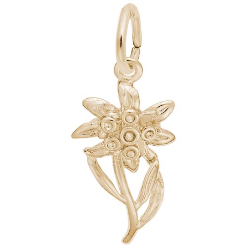 14K Gold Edelweiss Flower Charm by Rembrandt Charms 14K Gold Edelweiss Flower Charm by Rembrandt Charms